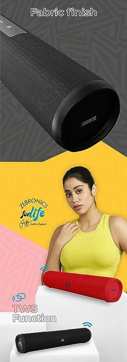 ZEBRONICS DAWN 50 SPEAKER